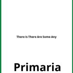 Ejercicios There Is There Are Some Any Primaria PDF