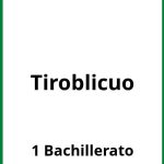 Ejercicios Tiro Oblicuo 1 Bachillerato PDF