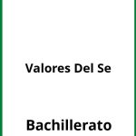 Ejercicios Valores Del Se Bachillerato PDF
