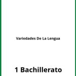 Ejercicios Variedades De La Lengua 1 Bachillerato PDF