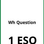 Ejercicios Wh Question 1 ESO PDF