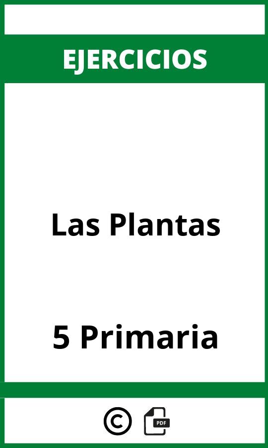 Las Plantas 5 Primaria Ejercicios PDF