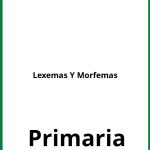 Lexemas Y Morfemas Ejercicios  PDF Primaria