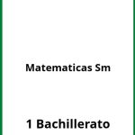 Matemáticas 1 Bachillerato Ejercicios  PDF Sm
