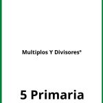 Multiplos Y Divisores Ejercicios 5 Primaria PDF