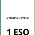 Sintagma Nominal Ejercicios  1 ESO PDF