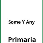 Some Y Any Ejercicios Primaria PDF